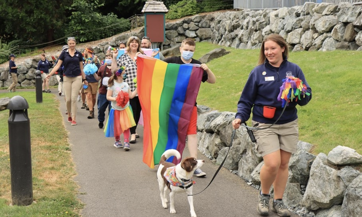 Pride at Point Defiance Zoo