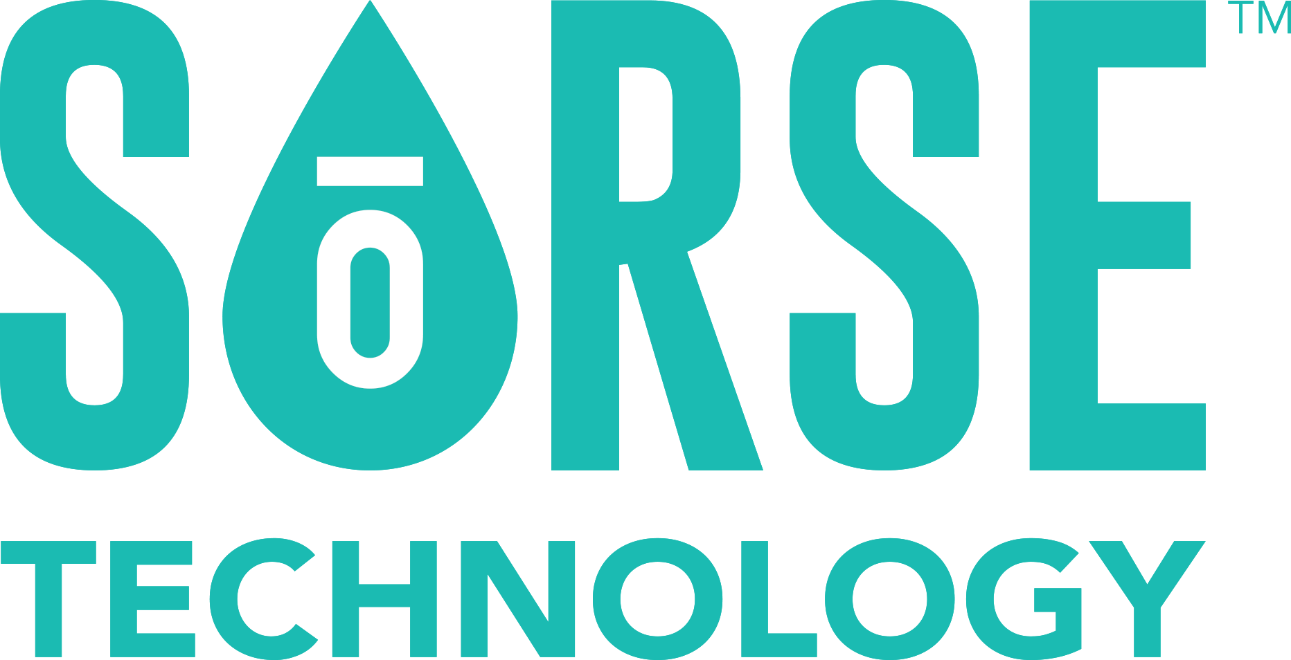 So RSE Technology logo 1