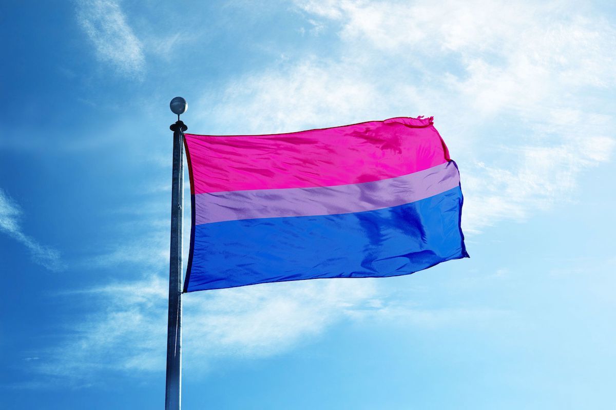 Bisexual pride flag 2